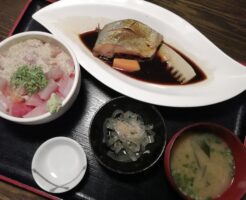 博多魚がしMIX丼＋一品料理1130円