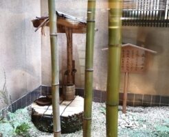 武雄温泉湯元荘東洋館の武蔵の井戸
